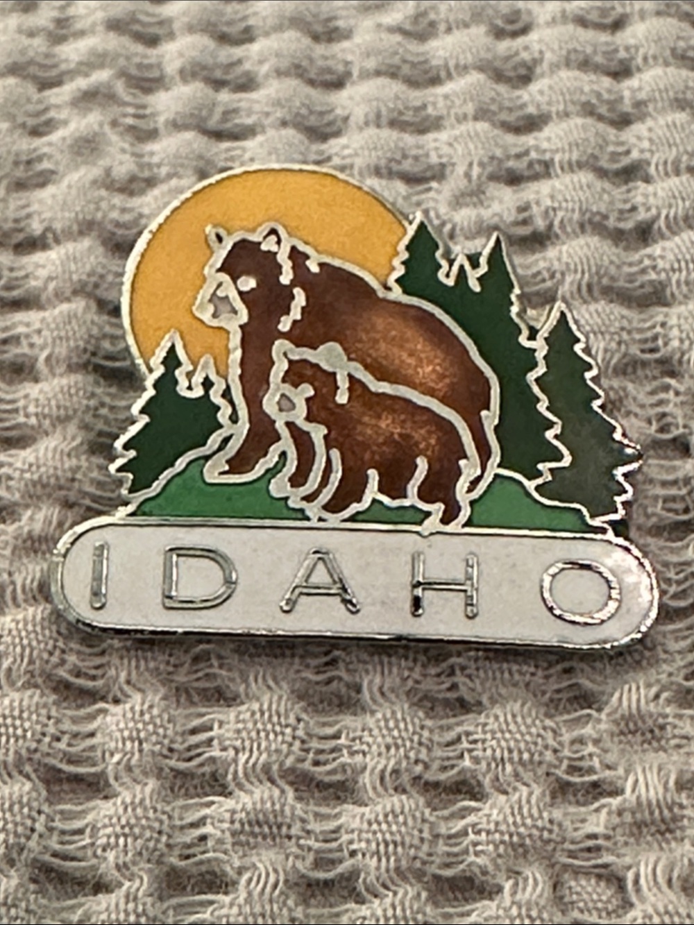 Idaho Bear Pin